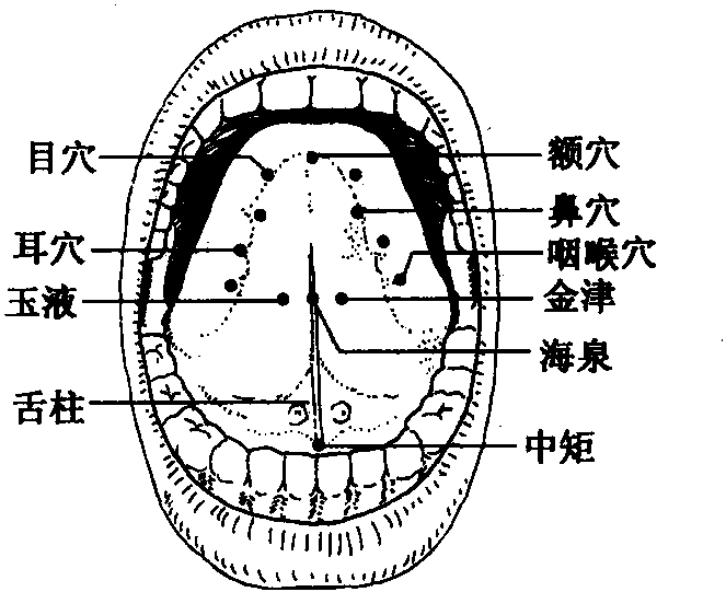 第九节 舌穴疗法